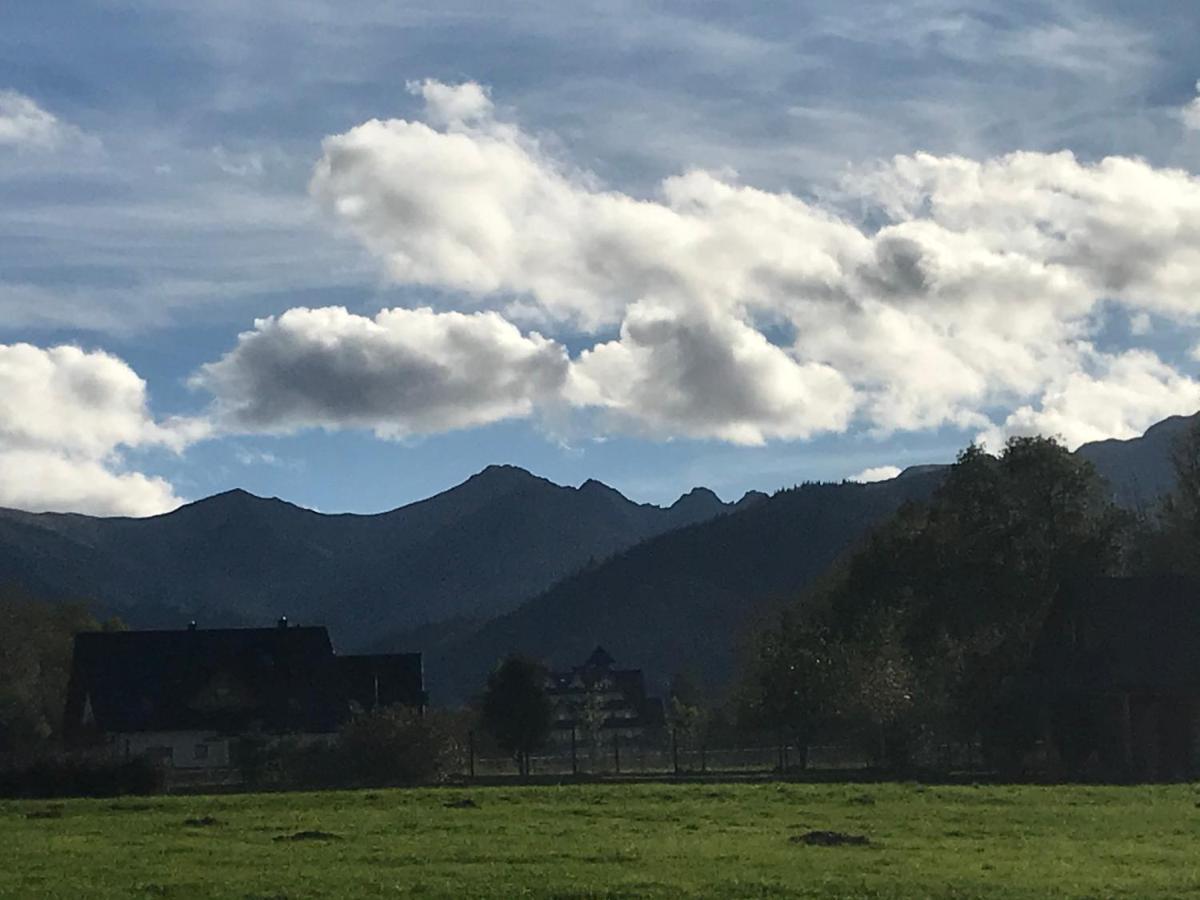 Apartment Skoczek: Two-room With Shared Bathrooms And Thermal Access Zakopane