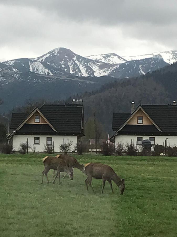 A3apartament 2 Pokojowy Aneks Kuchenny 2 Lazienki Wlasne Na Korytarzu Jumper Na Termach Dla 2 Osob Gratis Apartment Zakopane